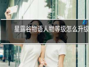 星露谷物语人物等级怎么升级