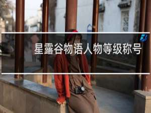 星露谷物语人物等级称号