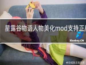 星露谷物语人物美化mod支持正版么