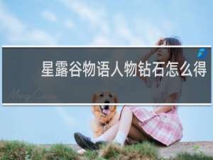 星露谷物语人物钻石怎么得