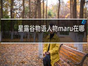 星露谷物语人物maru在哪