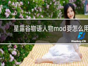 星露谷物语人物mod要怎么用