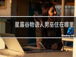 星露谷物语人男巫住在哪里
