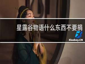 星露谷物语什么东西不要捐