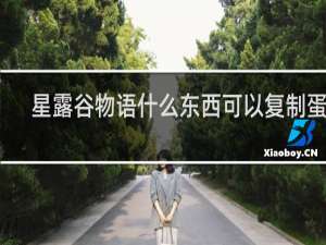 星露谷物语什么东西可以复制蛋糕