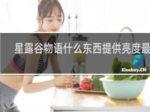 星露谷物语什么东西提供亮度最多