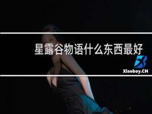 星露谷物语什么东西最好