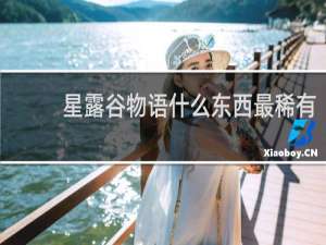 星露谷物语什么东西最稀有