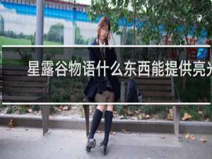 星露谷物语什么东西能提供亮光