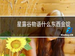 星露谷物语什么东西金锭