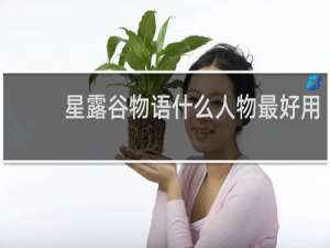 星露谷物语什么人物最好用