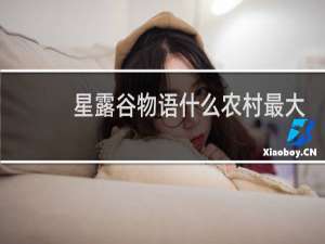 星露谷物语什么农村最大