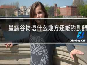 星露谷物语什么地方还能钓到鲟鱼