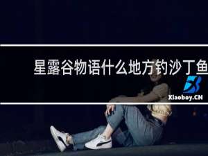 星露谷物语什么地方钓沙丁鱼