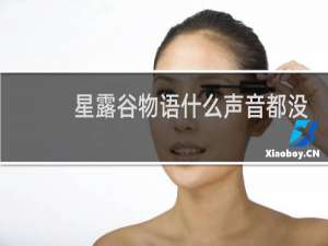 星露谷物语什么声音都没
