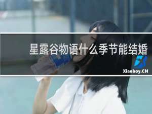 星露谷物语什么季节能结婚