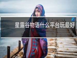 星露谷物语什么平台玩最好