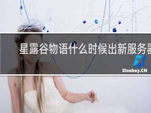 星露谷物语什么时候出新服务器