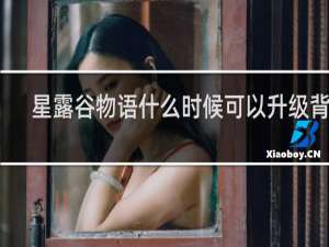 星露谷物语什么时候可以升级背包