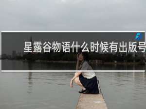 星露谷物语什么时候有出版号