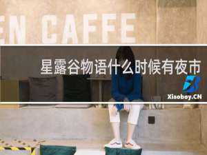 星露谷物语什么时候有夜市