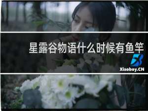 星露谷物语什么时候有鱼竿