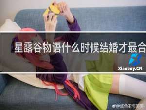 星露谷物语什么时候结婚才最合适
