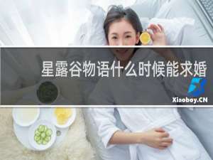 星露谷物语什么时候能求婚