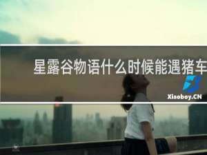 星露谷物语什么时候能遇猪车