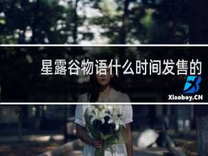 星露谷物语什么时间发售的