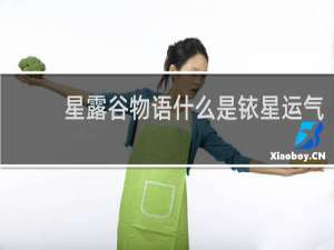 星露谷物语什么是铱星运气