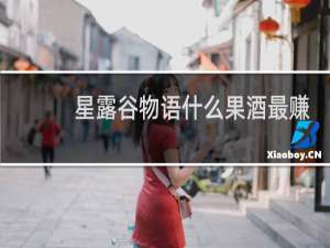 星露谷物语什么果酒最赚