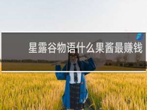 星露谷物语什么果酱最赚钱