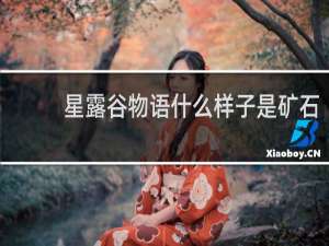 星露谷物语什么样子是矿石