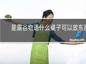 星露谷物语什么桌子可以放东西
