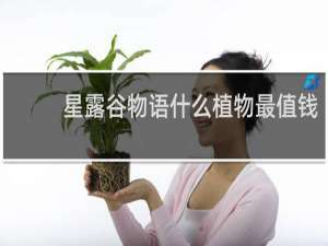 星露谷物语什么植物最值钱