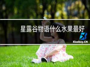 星露谷物语什么水果最好
