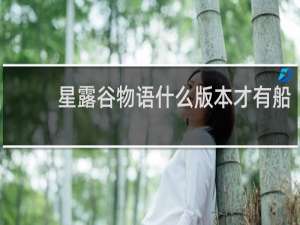 星露谷物语什么版本才有船