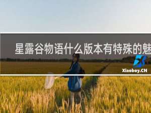 星露谷物语什么版本有特殊的魅力