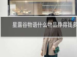 星露谷物语什么物品挣得钱多