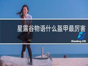 星露谷物语什么盔甲最厉害