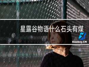 星露谷物语什么石头有煤