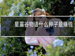 星露谷物语什么种子最赚钱