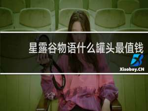 星露谷物语什么罐头最值钱