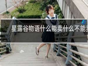 星露谷物语什么能卖什么不能卖