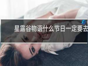 星露谷物语什么节日一定要去