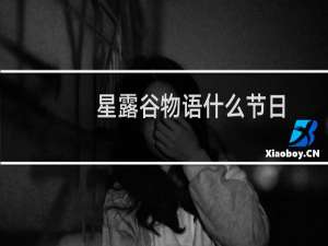 星露谷物语什么节日