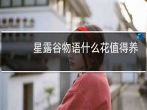 星露谷物语什么花值得养