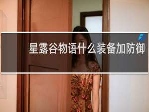 星露谷物语什么装备加防御