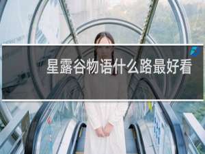 星露谷物语什么路最好看